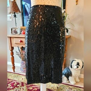 Sequin Black Skirt stretch waist 1x